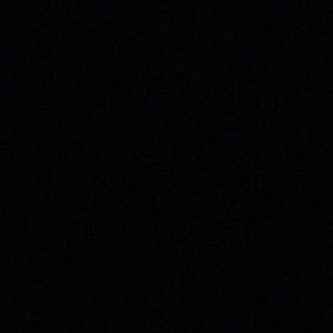 Meet your Posher, Isabella